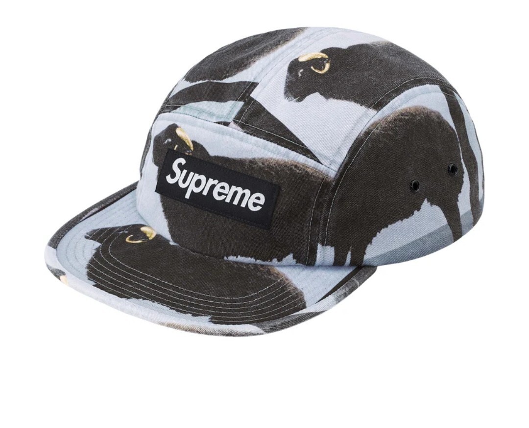Supreme® Damien Hirst Camp Cap (^New) | eBay