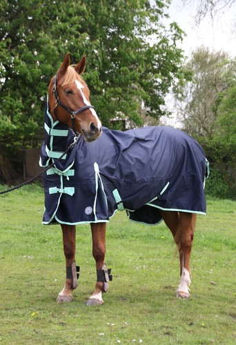 Alfombra de caballo ligera sin relleno 600D estándar y combo cuello impermeable - Imagen 23 de 38