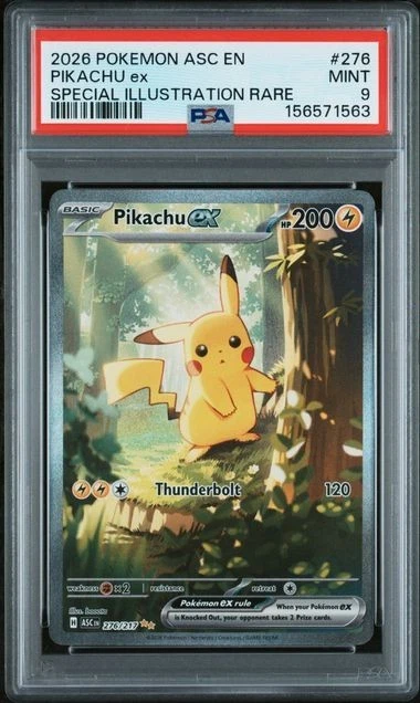 Preços baixos em Pikachu Pokémon TCG Autenticador Esportivo