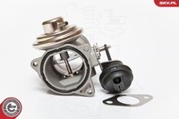 Esen SKV 14SKV081 Agr-Ventil FüR Seat,Skoda,Vw