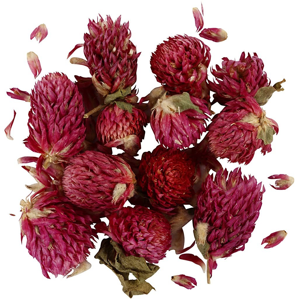 Creotime Dried flowers - Red clover - 15 gr