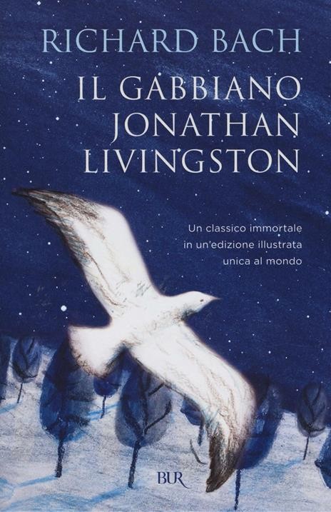 LIBRO IL GABBIANO JONATHAN LIVINGSTON - RICHARD BACH - Immagine 4