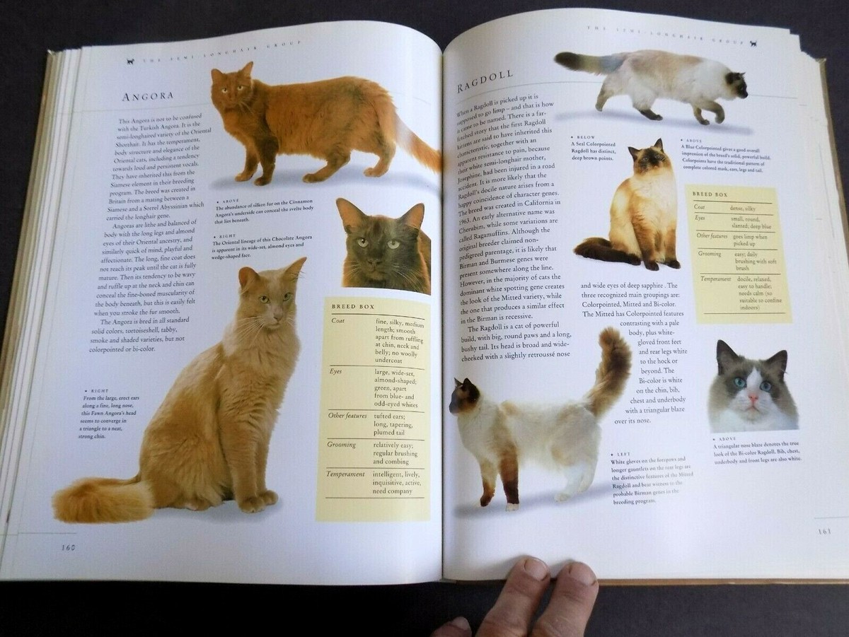 猫の本 ENCYLOPEDIA OF THE CAT The Cat Encyclopedia: The Definitive Visual Guide (DK Pet