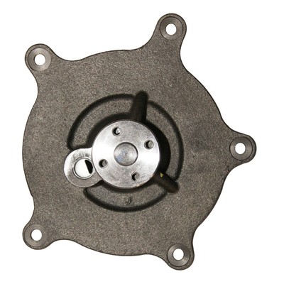 New Water Pump For 300 2005-2008 By 512298