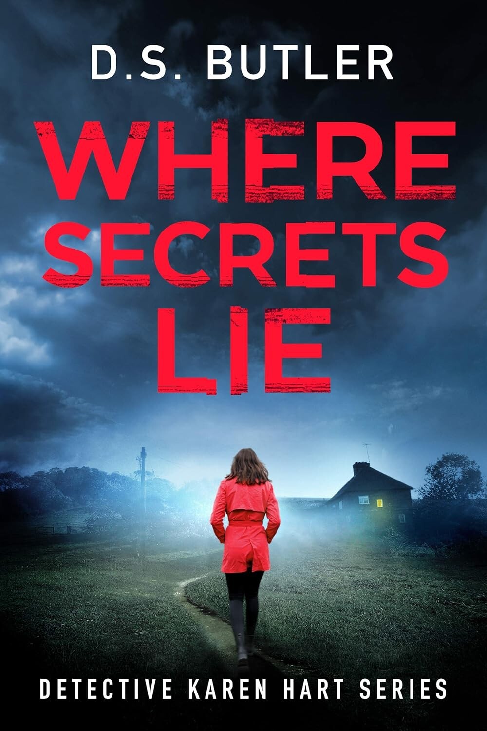 Detective Karen Hart Book 2: Where Secrets Lie - D. S. Butler (Paperback, 2019)