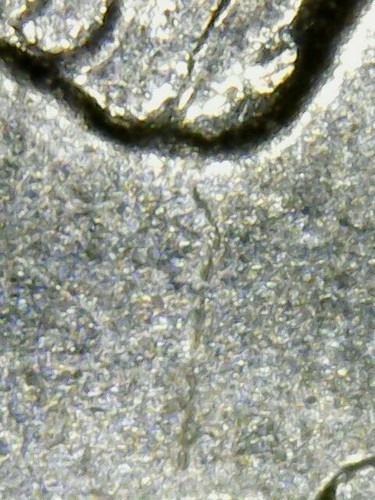 1999 D Spiting Horse Error