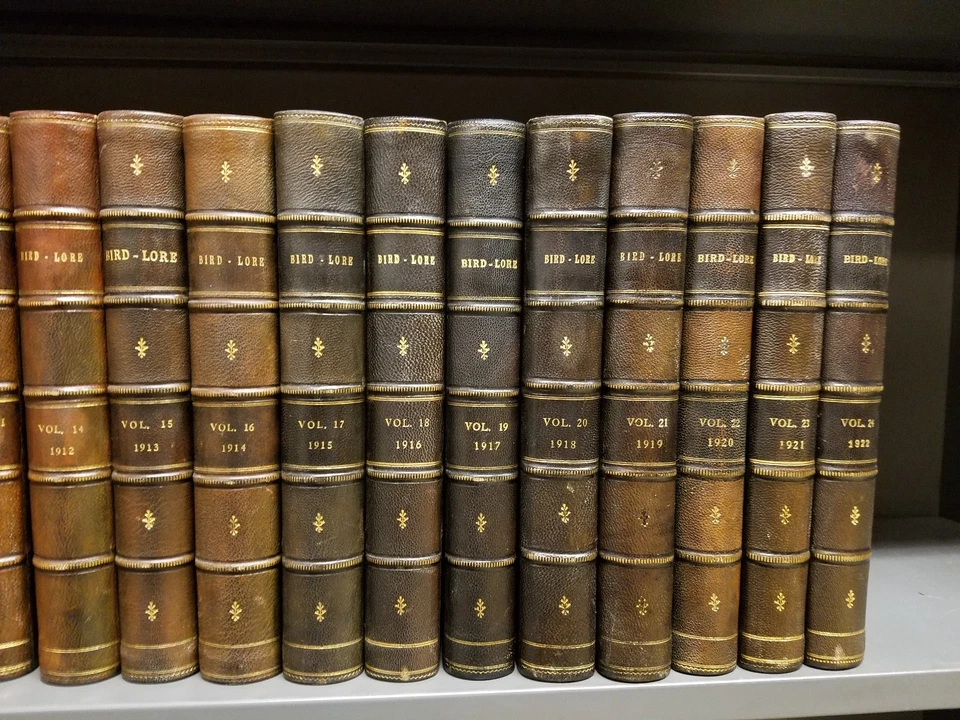 Bird-Lore 1899-1940 Complete Run 42 Vols Moroccan Fine-Binding Audubon Society - Image 3 of 4