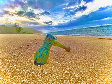 Rainbow Pond Hammer Bubbler