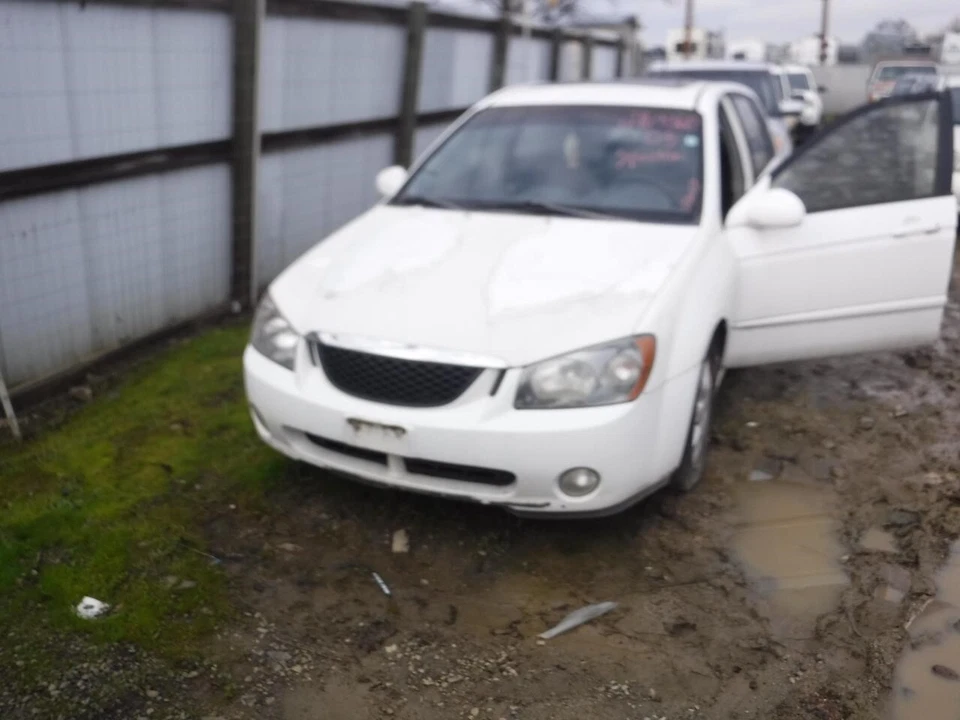 Used Deck Lid fits: 2005 Kia Spectra SW w/spoiler Grade A - Image 4 of 4