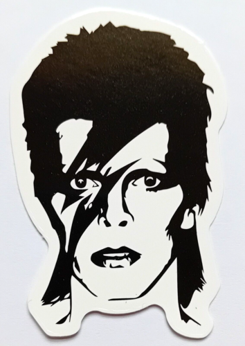 DAVID BOWIE White & Black Ziggy Stardust Vinyl Decal Small Sticker 6.5cm x 4.2cm - Afbeelding 1 van 3