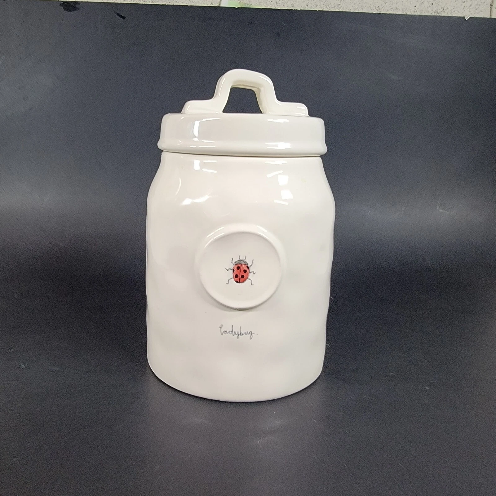 Rare RAE DUNN Ladybug Dimpled Canister By Magenta Artisan Collection