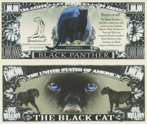 Black panther animal us Stock Vector Images