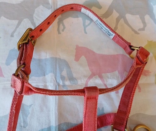 Monty Roberts Dually headcollar. Small, Red. In Great Condition. - Bild 12 von 14