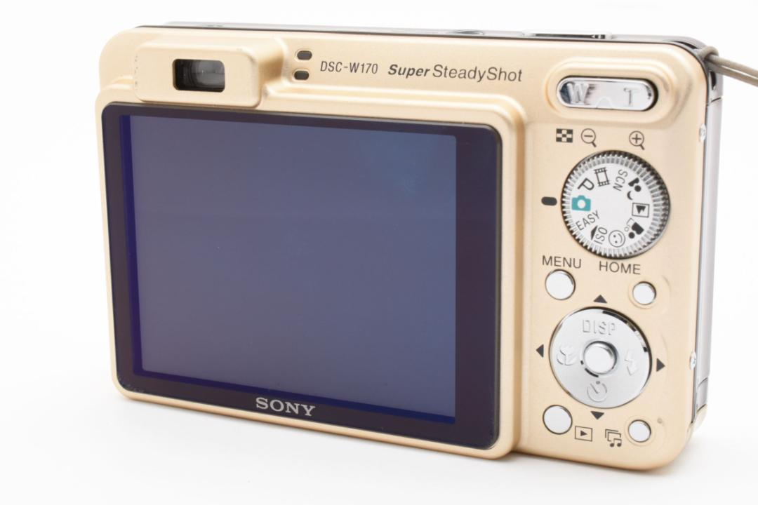 Sony Cyber-shot DSC-W170 10.1MP Digital Camera - Silver (DSC