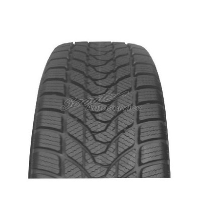 Delinte Winter WD-1 3PMSF Winterreifen 175/65 R14 82T | 74657