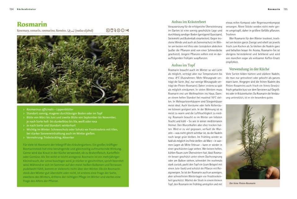 Thumbnail - Kräuter Richtig Anbauen Andrea Heistinger