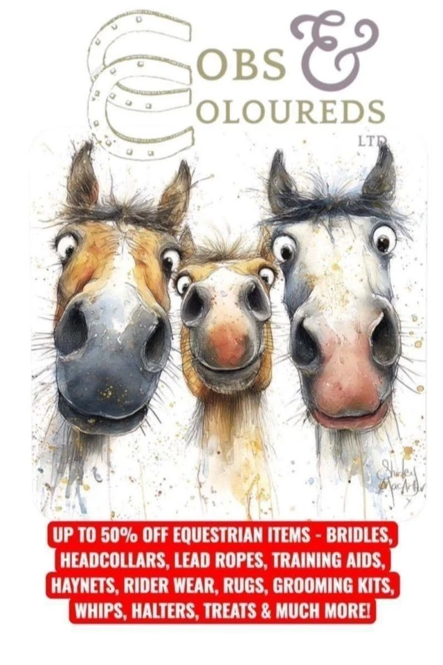 TACK RIDER WEAR HARNESS TREATS HEADCOLLARS GROOMING HAYNETS UP TO 50% OFF