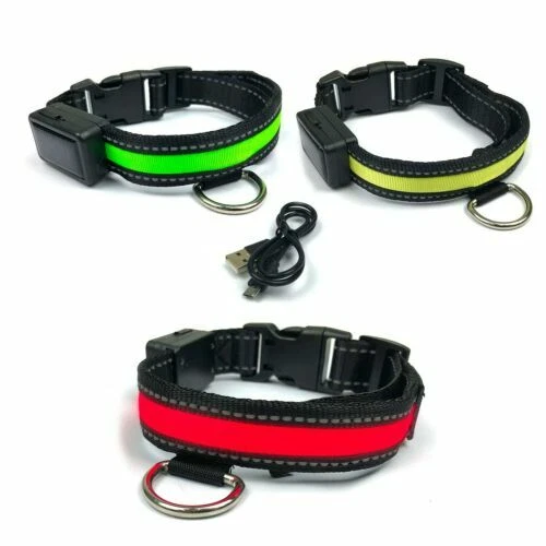 Collari in nylon con luce LED per cani