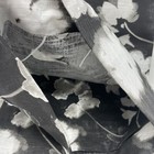 Picture 4 of 8