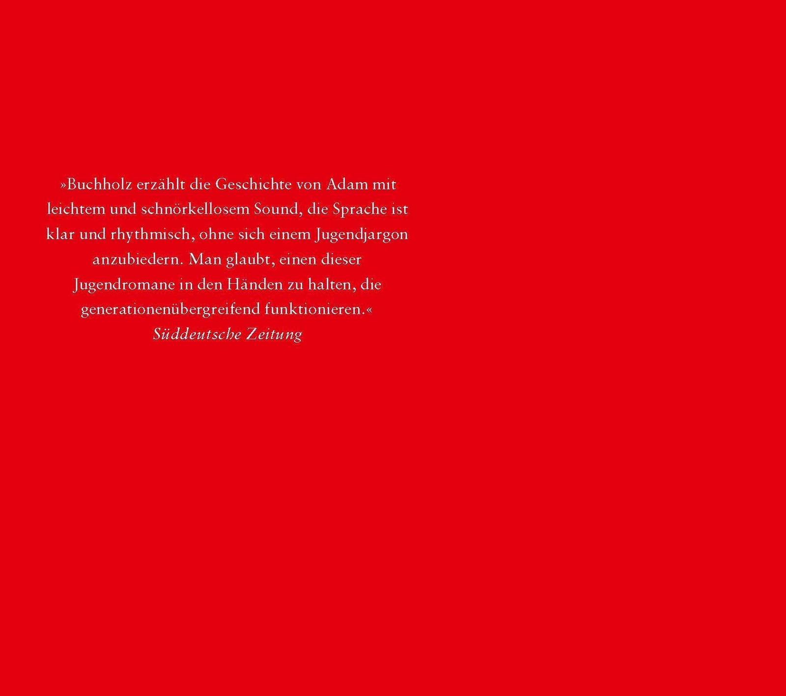 Thumbnail - Der Rote Swimmingpool Roman Natalie Buchholz Taschenbuch 288 S.