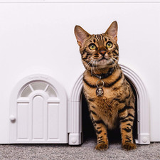 Cat Door Interior Door - No-Flap Cat Door for Interior Door, Cat Door Interior D