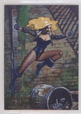 1994 SkyBox Master Series DC Comics Black Canary #87 0nr3