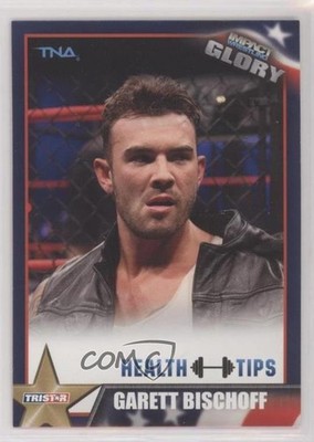 2013 TRISTAR TNA Impact Wrestling Glory Garett Bischoff #83 0t2