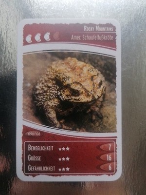 SAMMELKARTEN NETTO OZEANIEN 11 GEHEIMNISSE DER NACHT AMER. SCHAUFELFUSSKROETE 98