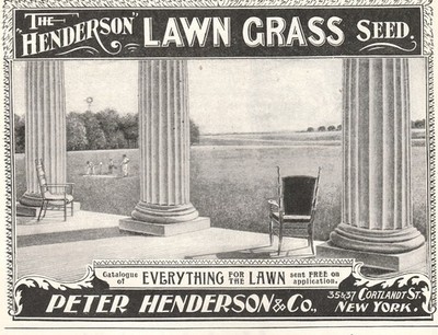 Antique 1900 Henderson Lawn Grass Seed Original Print Ad NY Company 17x12cm OFF3