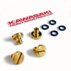 Kawasaki z1 kz900 kz1000 z1r kz650 Carb Carburetor Float Bowl Drain Screws Oring