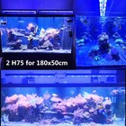 Foto 13 di 21