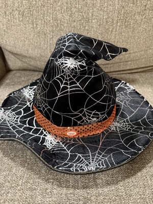 Mud Pie Halloween Spiderweb Witch Hat