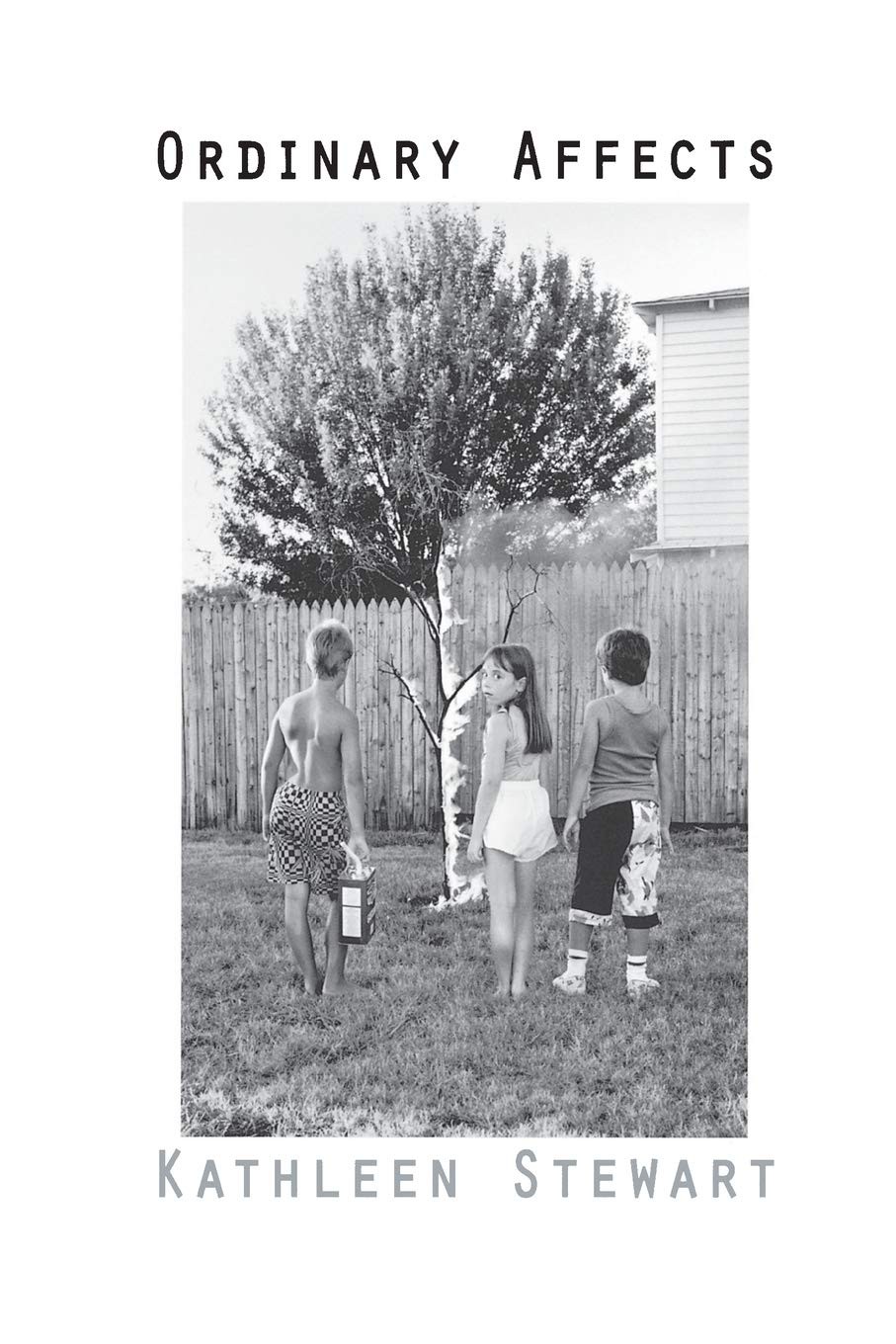 Ordinary Affects Kathleen Stewart - Image 5