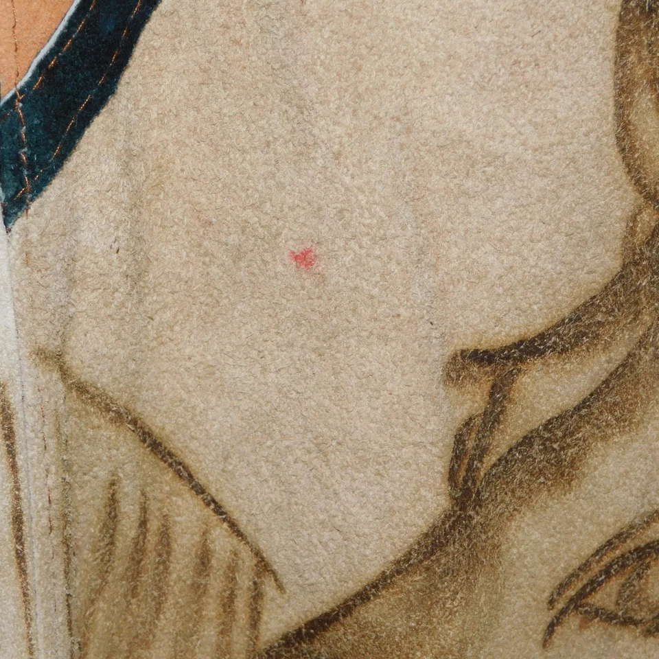 Poncho de gamuza vaquera occidental de colección Serape Cabo Rodeo Caballos Flecos México Foto 2 de 4