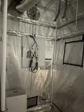 Gorilla Grow Tent 4x8
