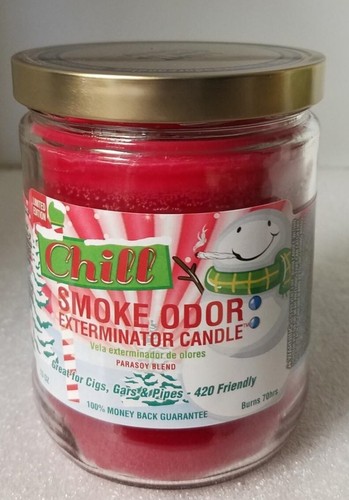 Smoke Odor 13 oz Jar Holidays & Christmas Candles Pumpkin & Spice +7 more - Picture 7 of 9