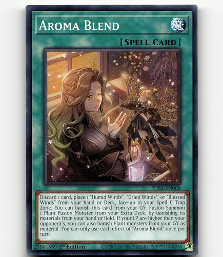 Yugioh Mokomoko PHNI-EN033 - Phantom Nightmare | eBay