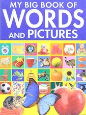 My Big Book of Words and Pictures
