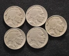 Lot of 5 Buffalo Nickels: 1924, 1936 P & D, 1937 D, 1938 D (US974)