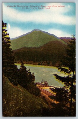 Cascade Mountains  Columbia River and Fish Wheel    Oregon     Postcard   c1915
