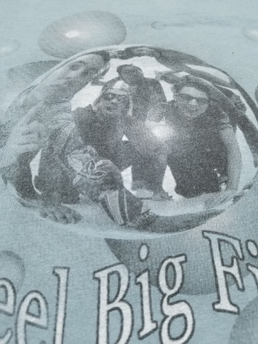 Vintage Reel Big Fish T shirt Ska Size XL 90’s Rock Band punk core Bubble OC USA - Picture 3 of 7