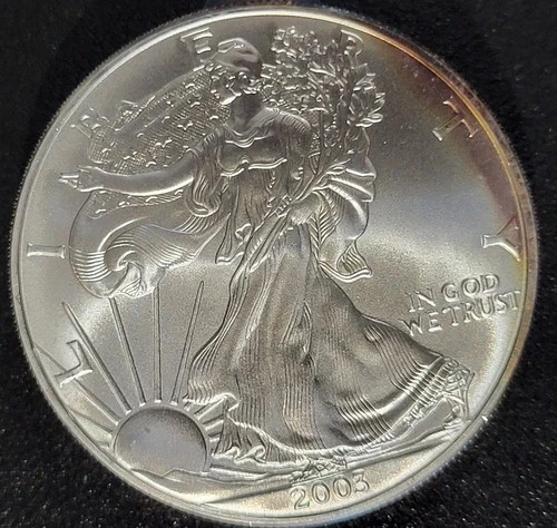 2003 American Silver Eagle $1 Dollar 1 Oz 999 Silver Coin, Uncirculated, Toned