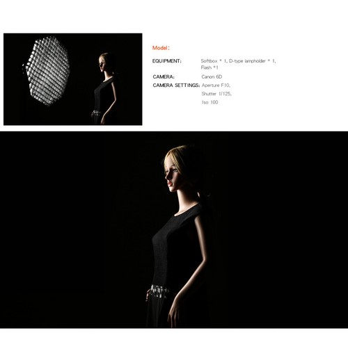 Godox Octagon 120cm Grid Honeycomb Softbox Bowens Mount for Studio Strobe Flash - Picture 9 of 12