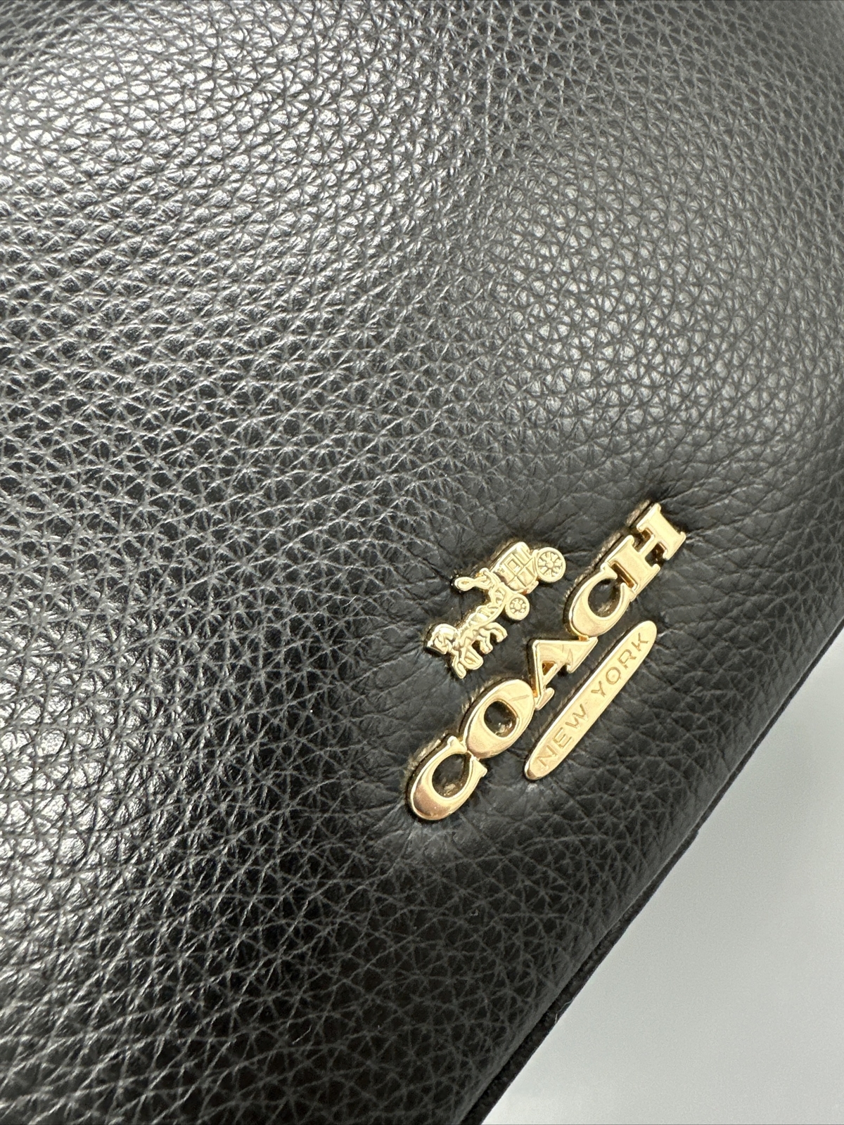 Coach F39856 Pebbled Leather Double Zip Jes Crossbody Bag Black eBay