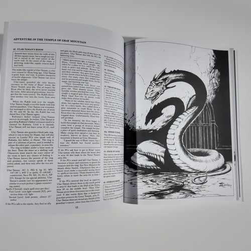 B7 Rahasia Dungeons and Dragons B/X ed. (Basic) - Picture 9 of 10