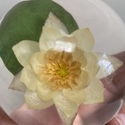 Picture 8 of 8