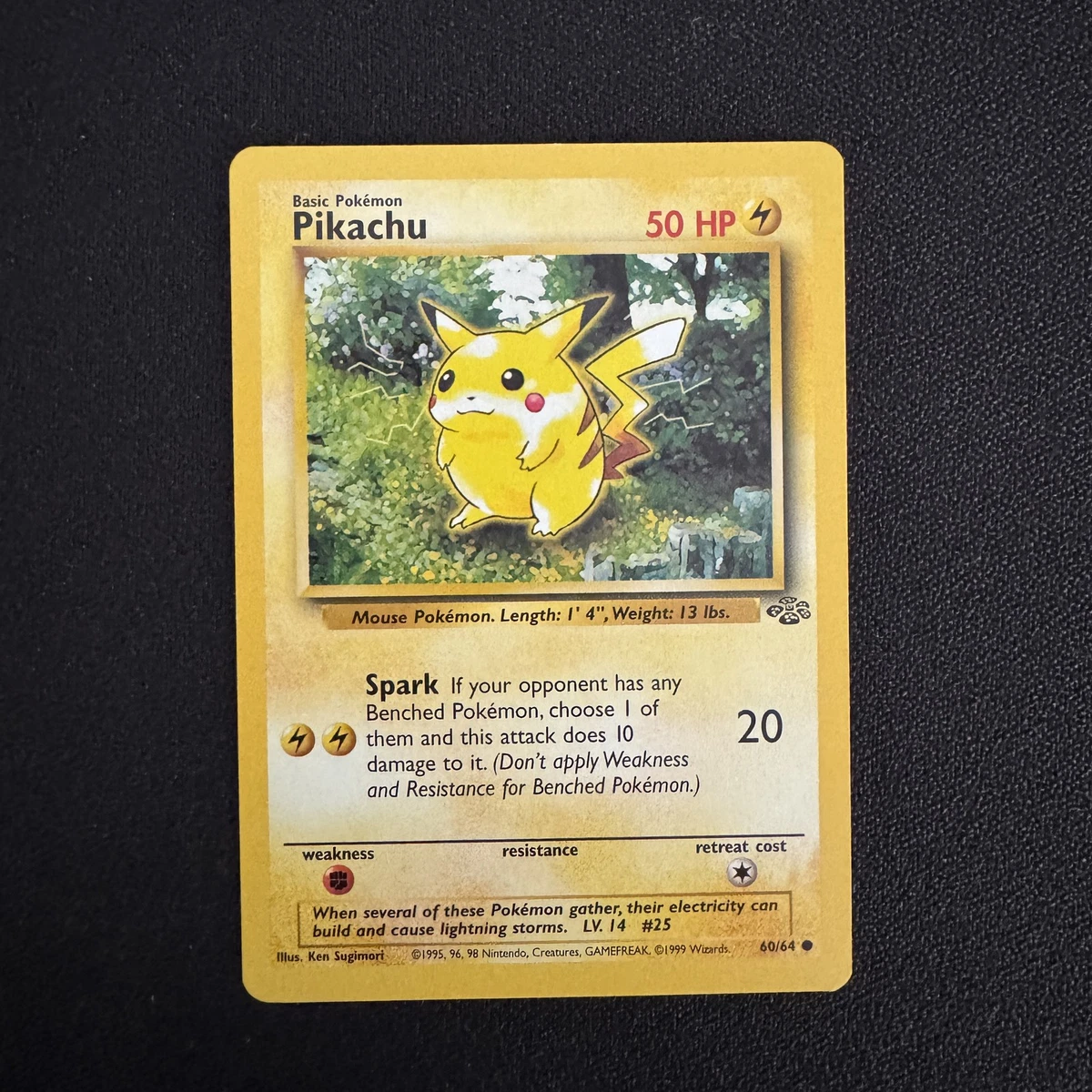 美品　ピカチュウ Pikachu Jungle 英語版⭐　10枚セット　旧裏 Pokémon Pikachu Pokémon TCG Jungle Individual Collectible Card