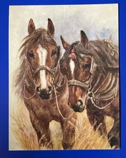 POSTCARD REPRINT DRAFT HORSE PERCHERON SHIRE TEAM VINTAGE ART PRINT 4.25”x5.5”