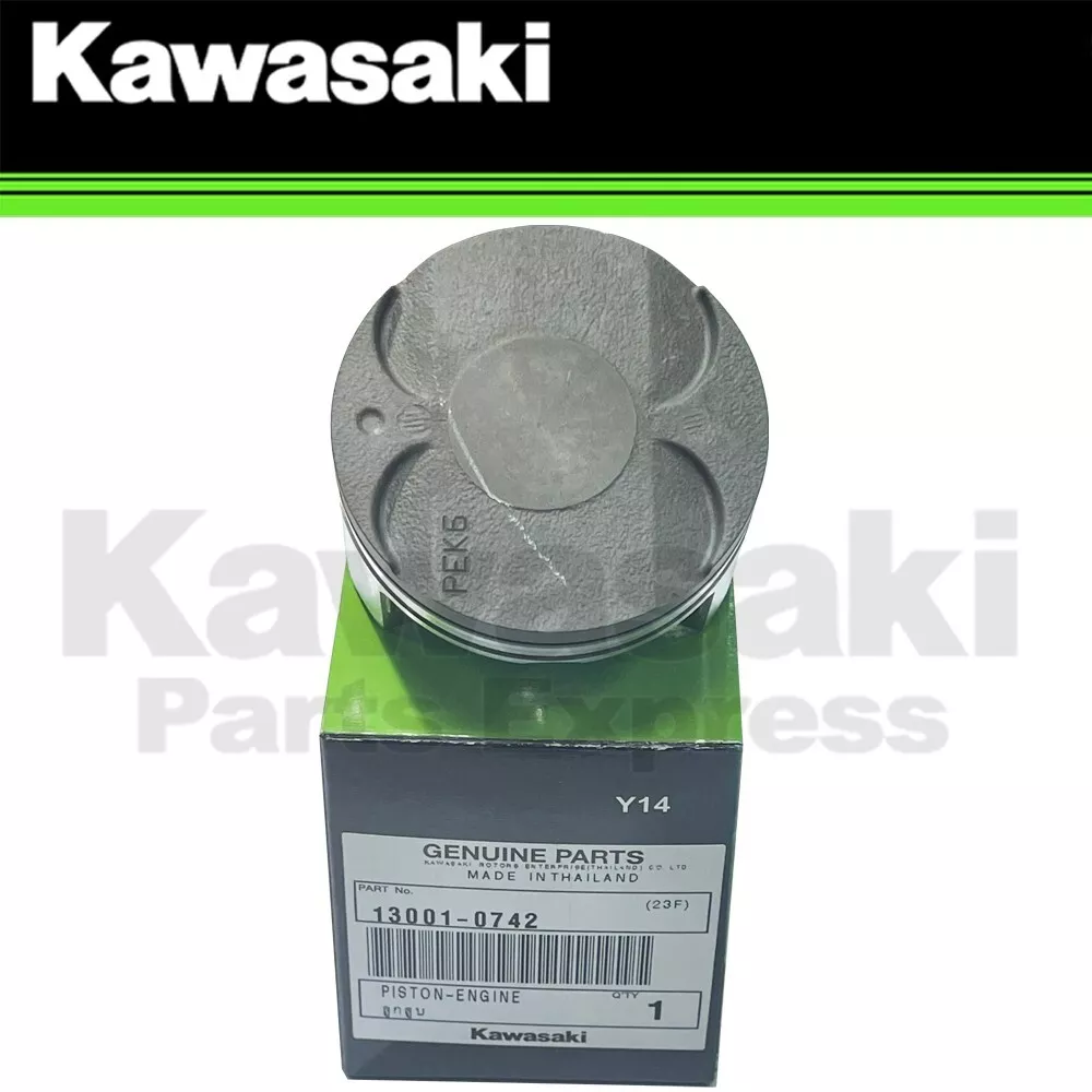 Kawasaki ninja 2024 300 abs 2020