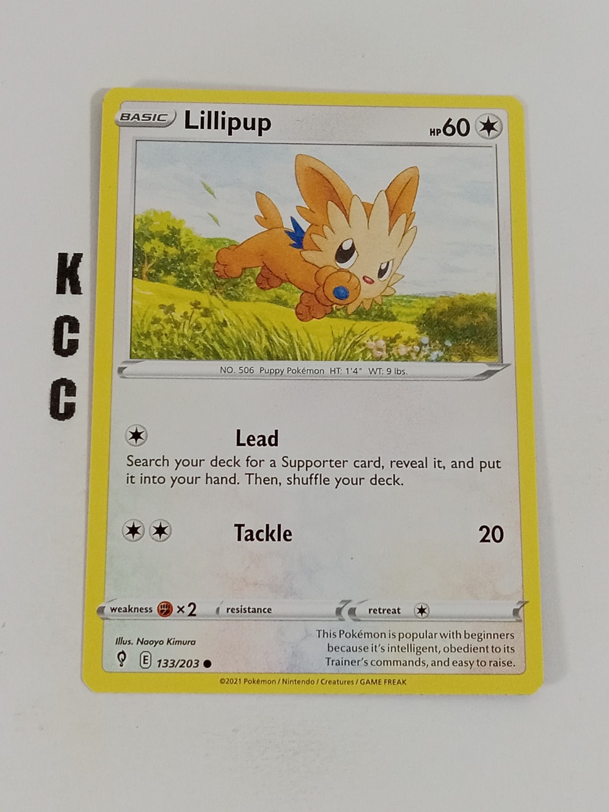 Lillipup 133/203 Regular Evolving Skies Pokemon TCG